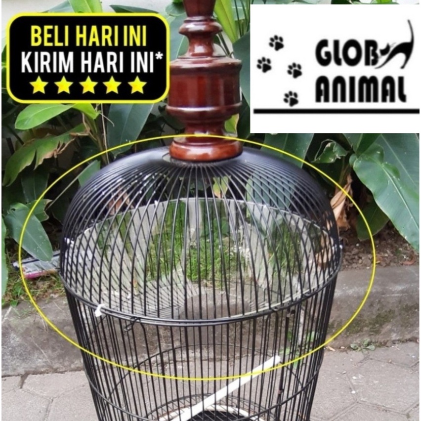 PLAFON SANGKAR BURUNG AKRILIK lovebird pleci jebakan atap sangkar