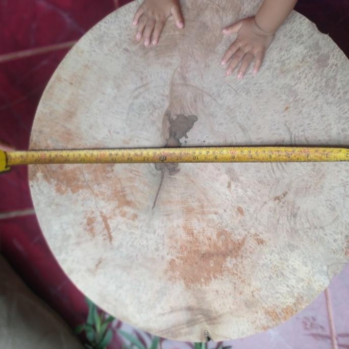 talenan kayu asem 50cm jumbo