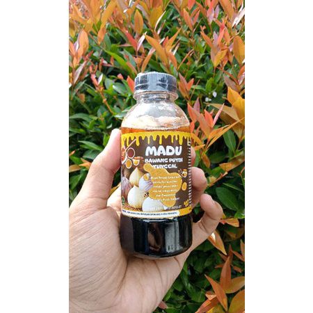 

Madu Kuat Madu Bawang Putih Lanang / Tunggal