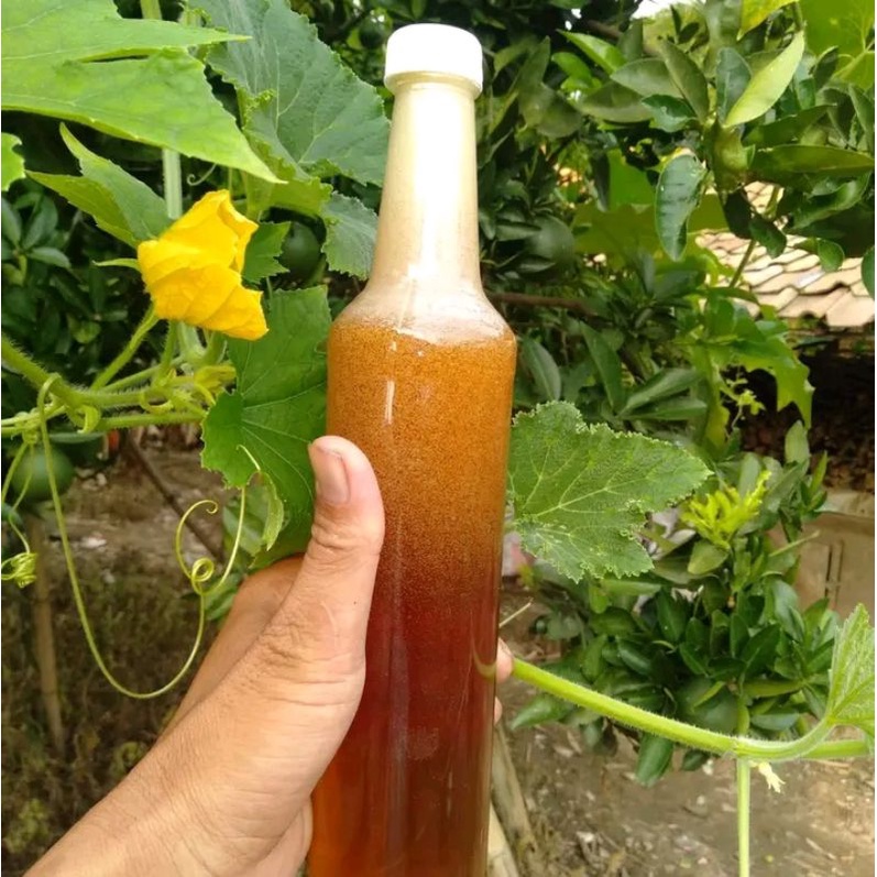 

Madu asli