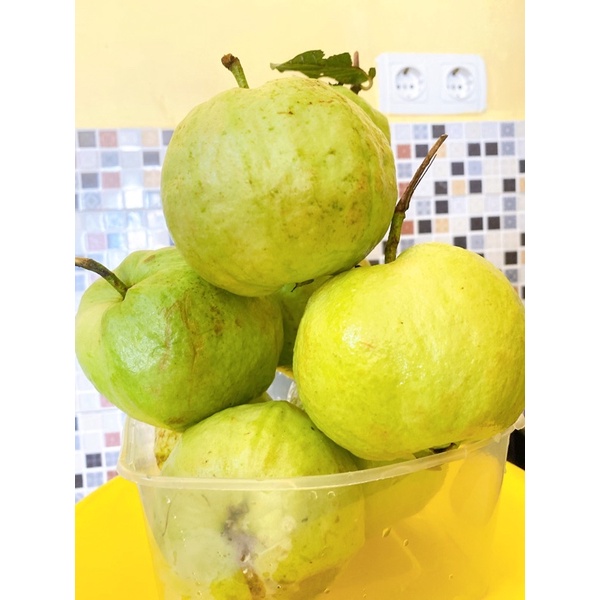 

Jambu Kristal