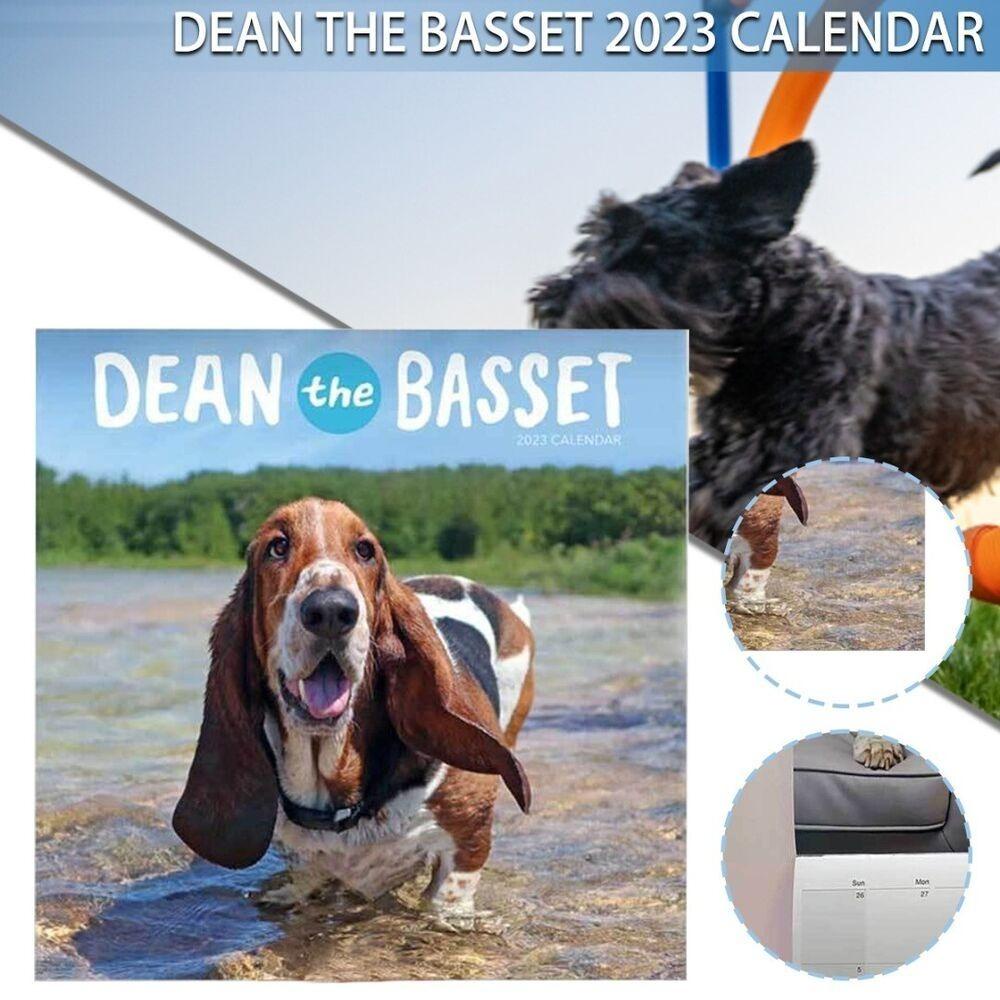 Top Dean The Basset Creatives Adorable Pet Dog Time Planning Kalender Rumah Kantor