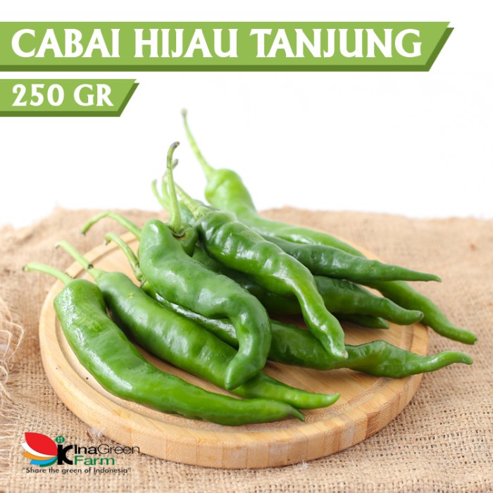 

Inagreen Farm Bandung Cabe Hijau Besar Tanjung 250 Gram