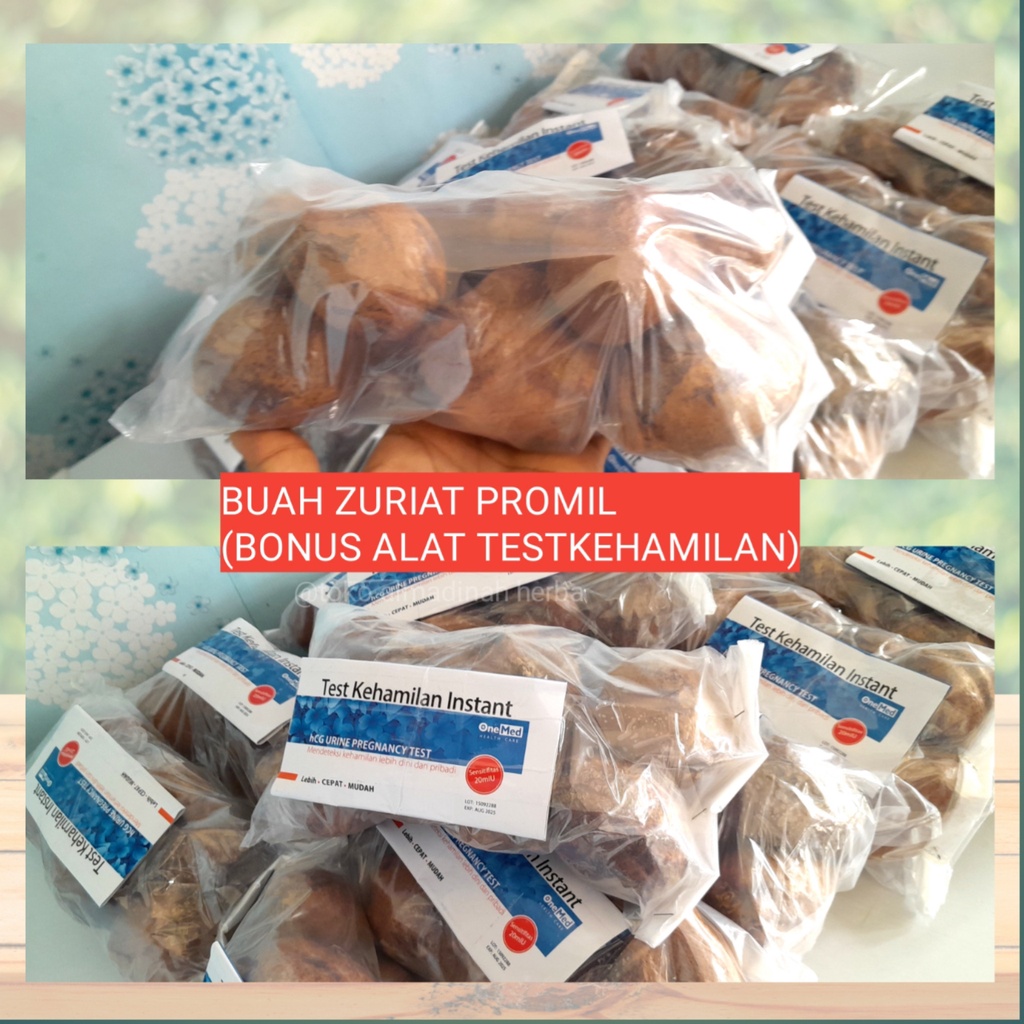 Buah Zuriat kesuburan promil 500gr Pria Wanita Bonus test kehamilan
