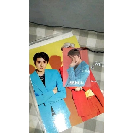 Sehun hangtag postcard what a life