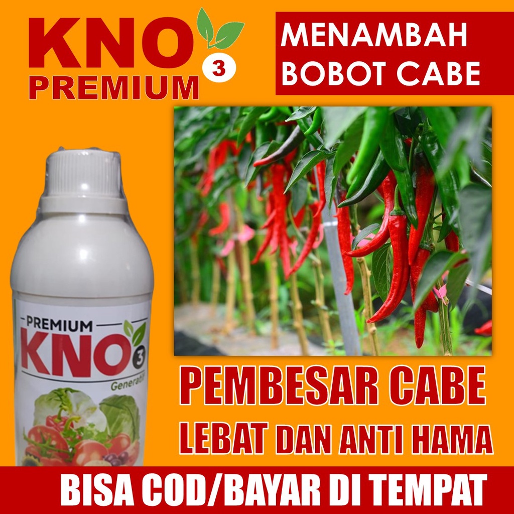 500 ML KNO3 Premium Pupuk Cabe Besar dan Lebat Anti Rontok Buah. Bunga dan dan Cabe - Pupuk Tanaman 