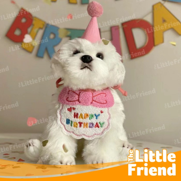 Aksesoris Bib Topi Kostum Anjing Kucing Dog Cat Birthday Party KOREA