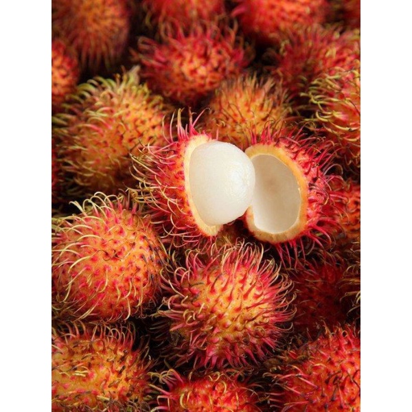 

Buah Rambutan Segar 1Kg di Jamin Manis