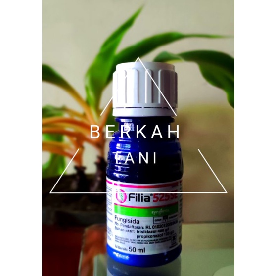 FILIA 50ml ORIGINAL 100%