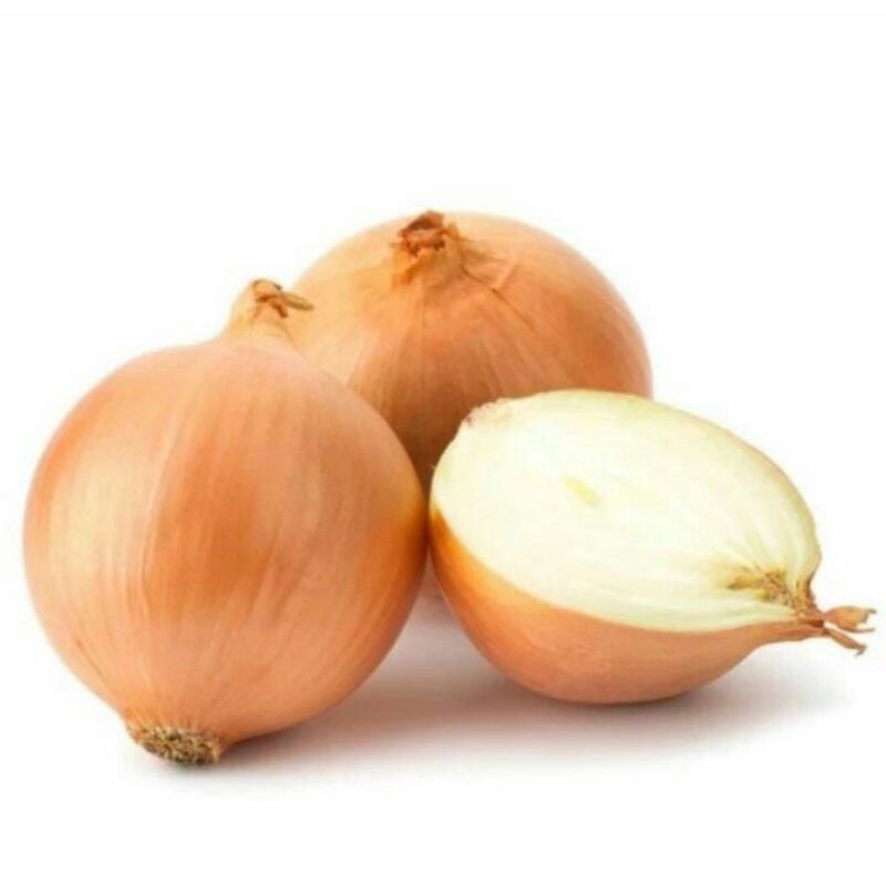 

Bawang bombay fresh 250gr,bawang bombay, bawang bombay segar