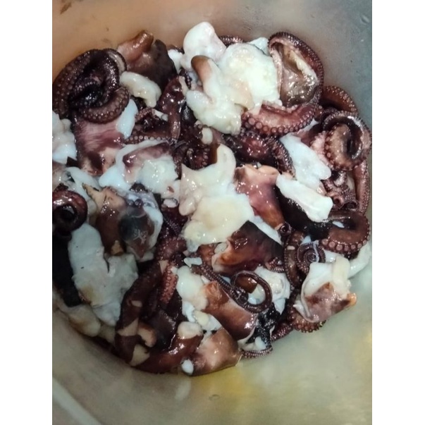 

frozen Octopus (gurita Fresh dan beku)