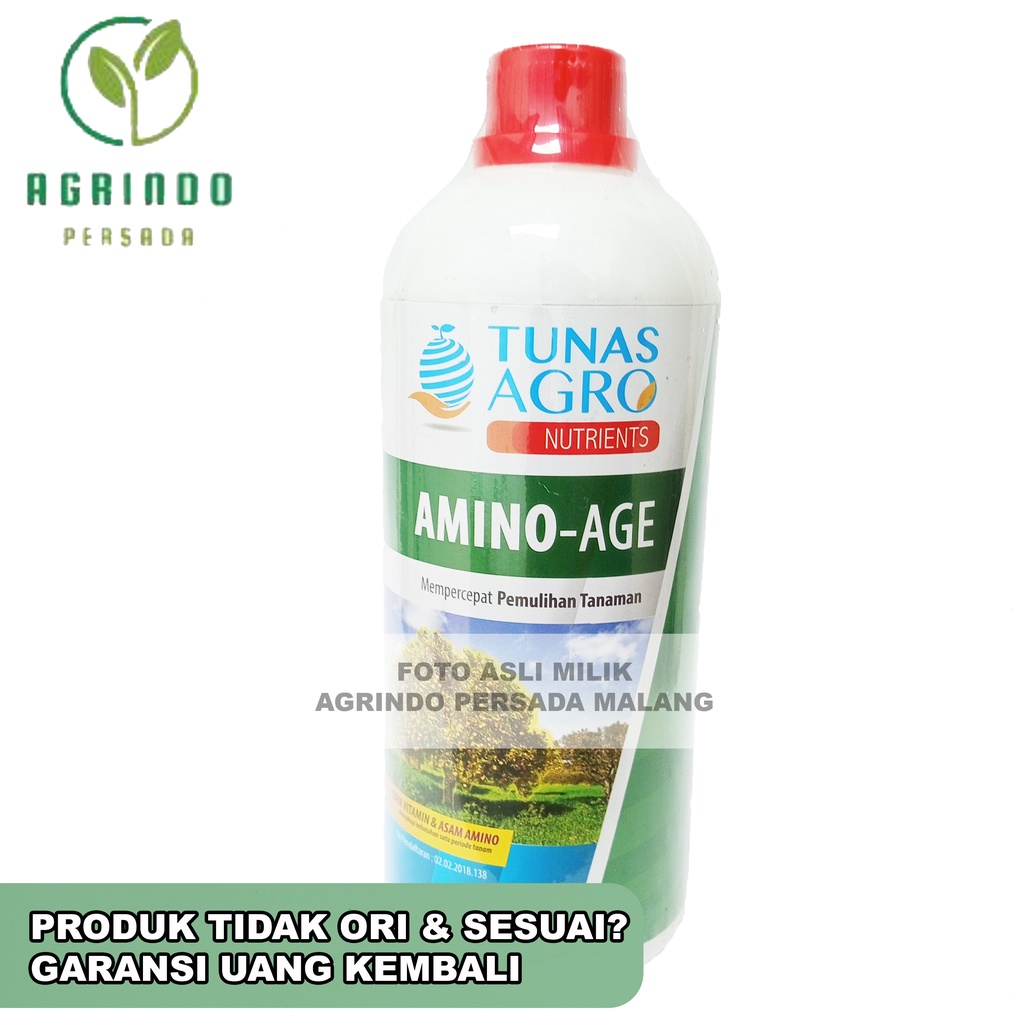 Asam Amino Amino-Age 1Liter | Amino Age 1 Liter | Amino-Age 1liter