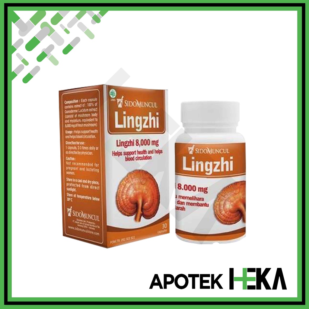 Lingzhi 8000 mg isi 30 Kapsul - Herbal Membantu Sirkulasi Darah (SEMARANG)