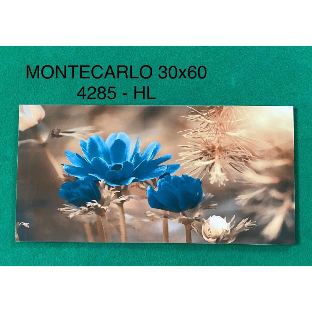 Granit MonteCarlo 30x60 4285 HL
