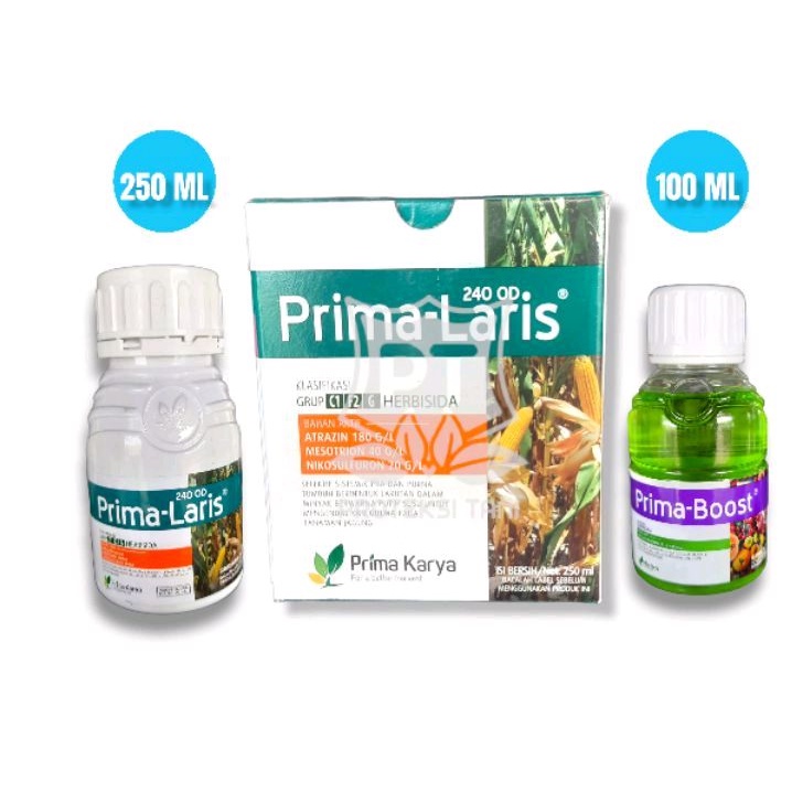 Prima Laris 260 OD Herbisida Selektif Obat Matun Jagung