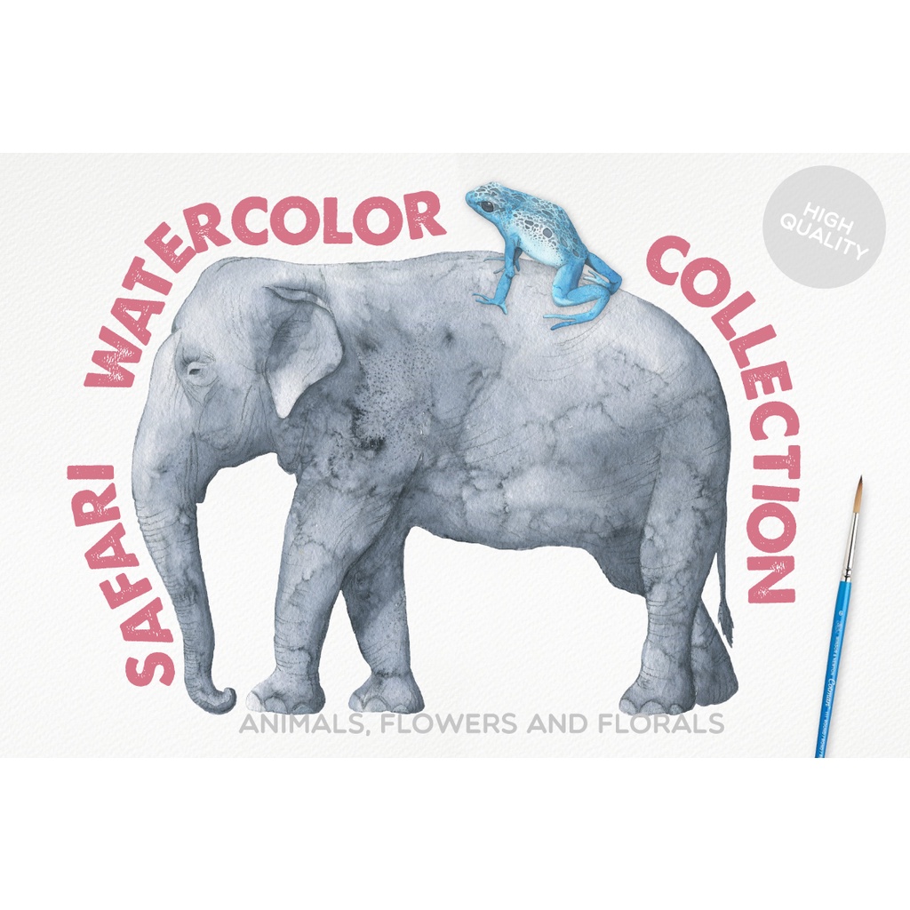 Safari Watercolor Collection