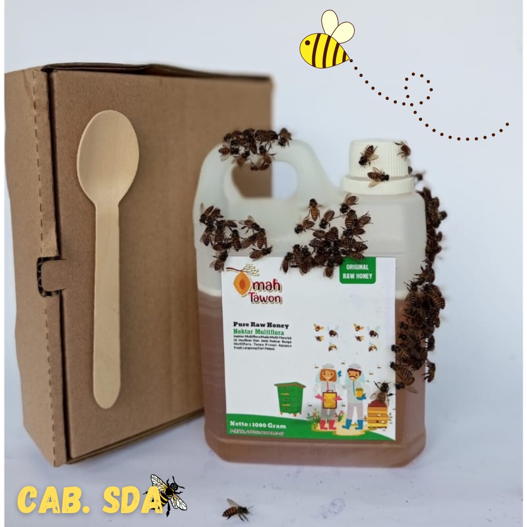 

MADU MURNI ASLI 1000gr ORIGINAL QUALITY