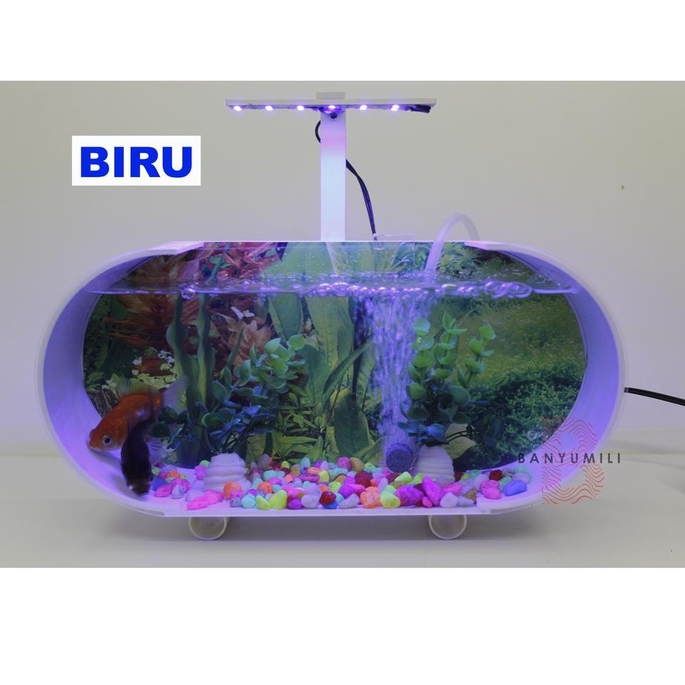 [Art. CZ091] Aquarium Akrilik murah 5 dim full set + pompa aerator + batu gelembung + Lampu LED