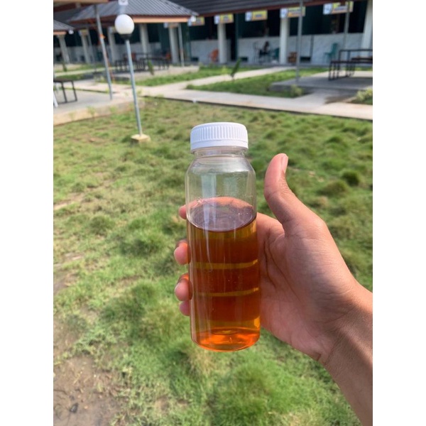 

madu magium dan malifera aceh