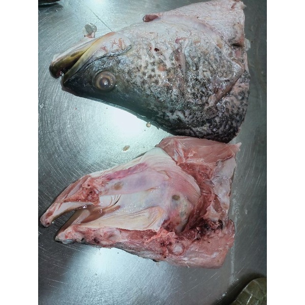 

Kepala Kakap Segar 1kg