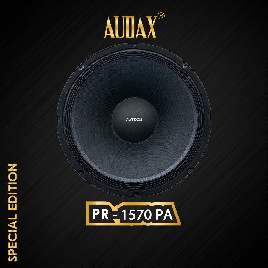 Audax - Speaker Pasif 15" Pro Tech PR-1570 PA Full Range