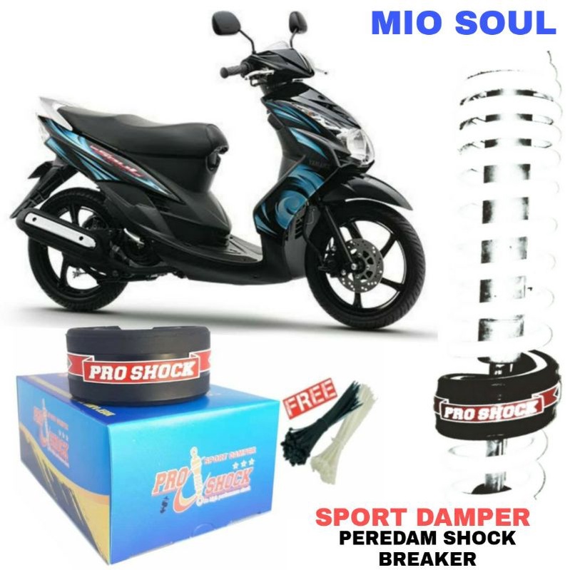 Sport damper motor