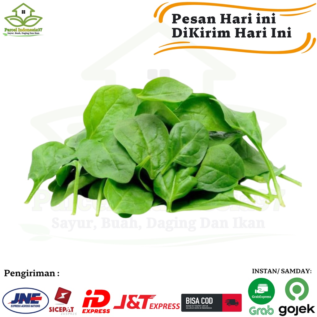 

Sayur bayam per ikat pasar murah