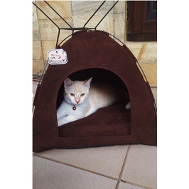 Rumah Tenda Portable / Kasur  untuk Kucing Dan Anjing