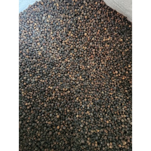 Lada hitam 500gr / Black pepper 500gr