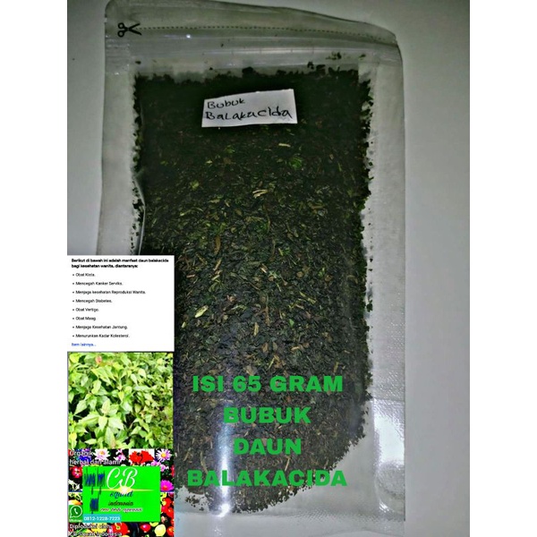 

balakacida/bubuk daun balakacida kering organik 65gram