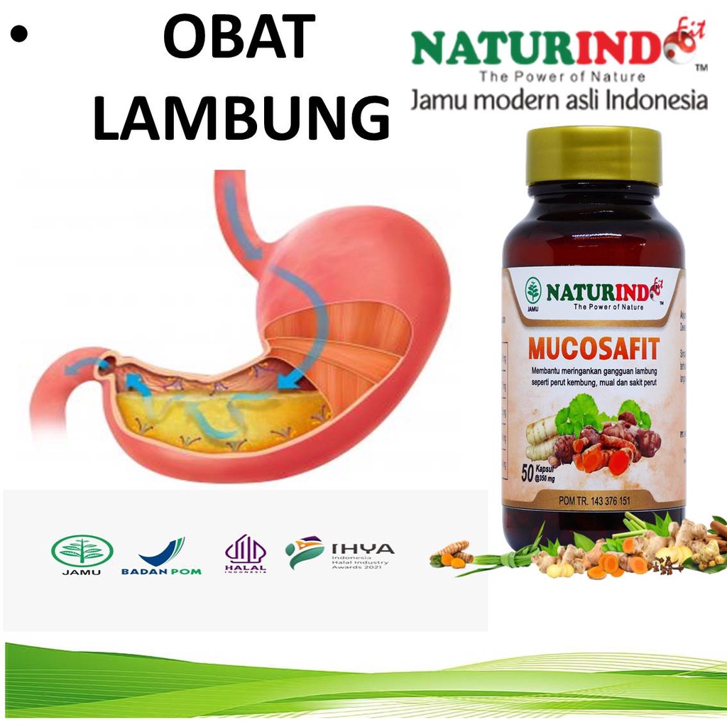 Obat Asam Lambung Obat Maag Asam Lambung Tinggi Asam Lambung Naik Maag Konis Maag Menahun Maag