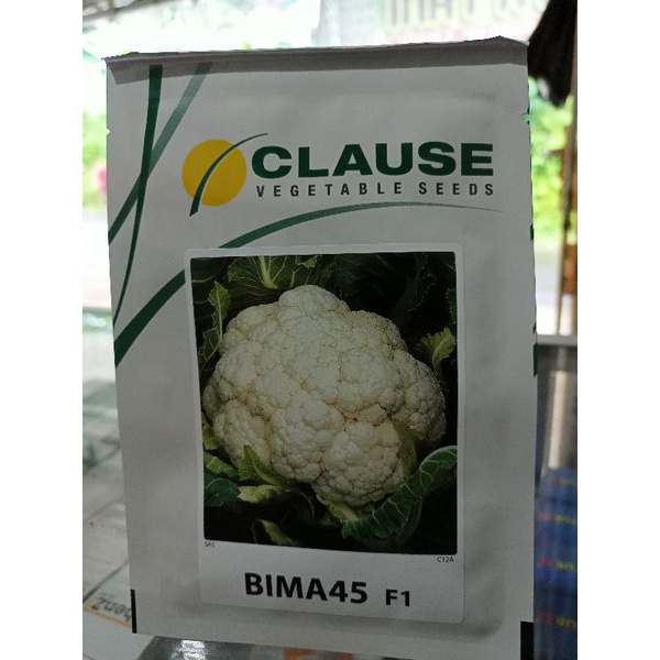 BUBIT/ BENIH KEMBANG KOL BIMA45 F1