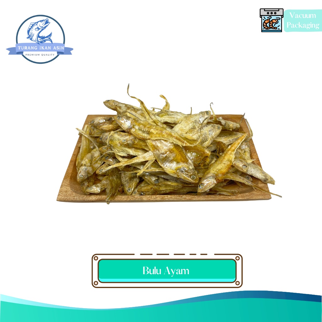 

Ikan asin Bulu Ayam Kering | Ikan Asin bulu Ayam Super