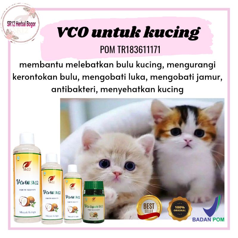 VCO herbal sr12 vco untuk kucing melebatkan bulu kucing obat luka scabies antifungi antibakteri