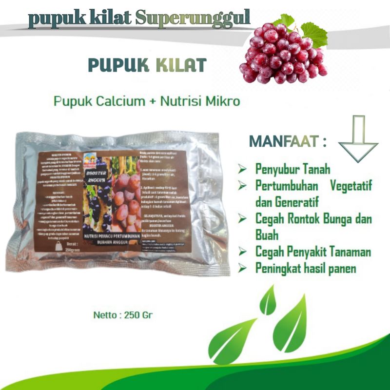 Pupuk Booster Organik Pelebat Buah Anggur Dan Perangsang Agar Cepat Berbuah