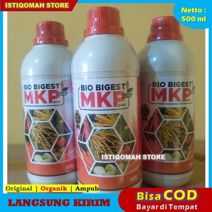 Pupuk Cabe Pelebat Buah dan Anti Rontok BIO BIGEST 500ML Pupuk Penyubur Daun dan Buah Cabe - Pupuk Organik Pemacu Cepat Berbuah Lebat Anti Rontok Tanaman Cabe - Pupuk Peninggi Pohon dan Pelebat Buah Pada Cabe Paling Ampuh