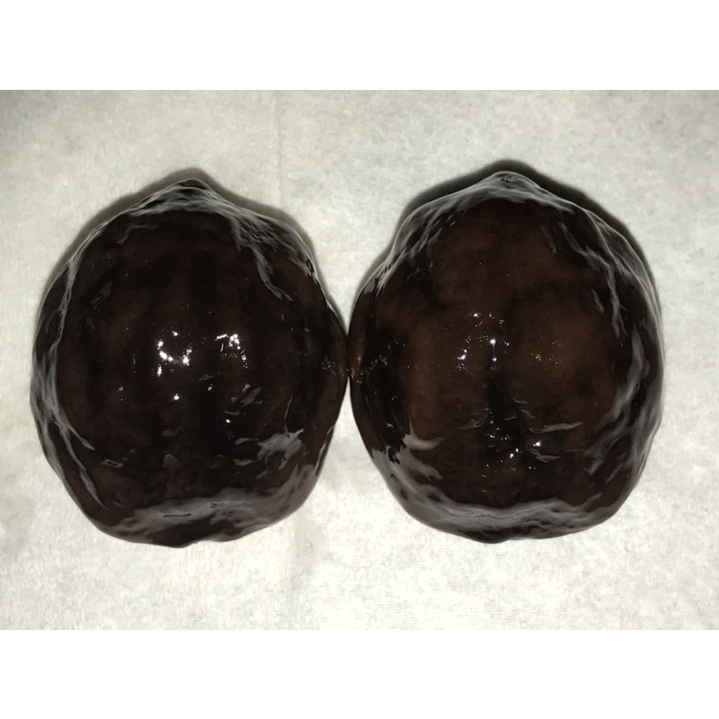 Muncang adu kemiri adu jalim misteri