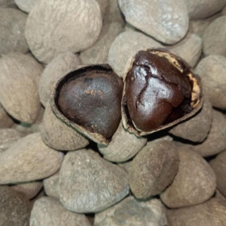 

⇋ Kluwek pucung Super 1 kg せ