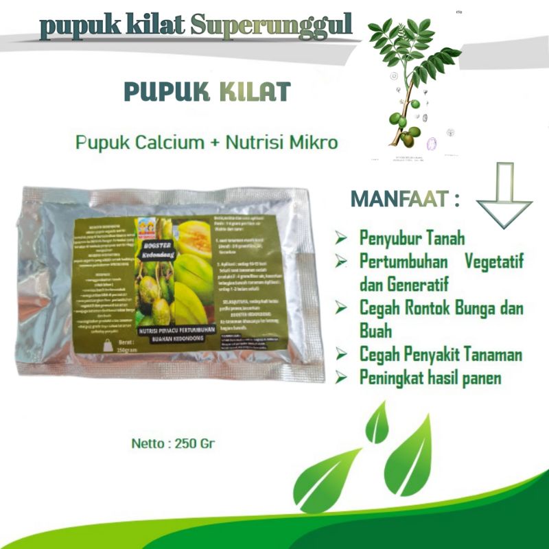 Pupuk Booster Organik Pelebat Buah Kedondong Dan Perangsang Agar Cepat Berbuah