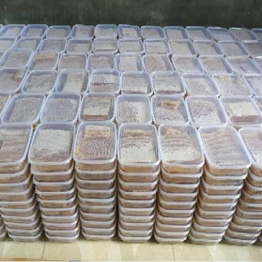 

ㅬ [COD] Madu sarang asli murni (ORIGINAL) Apis melifera netto 250 gram ◀