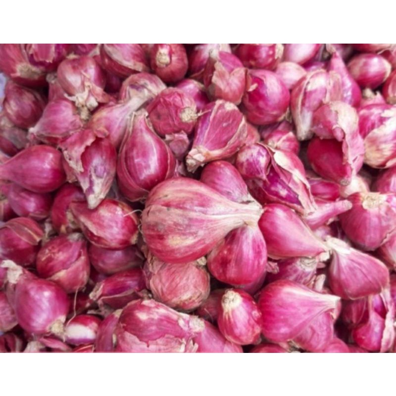 

Bawang Brebes Asli 1kg (Promo)