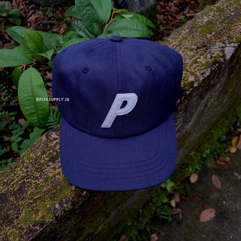 CAP PALACE SKATEBOARD FULLTAG ( JAPAN )