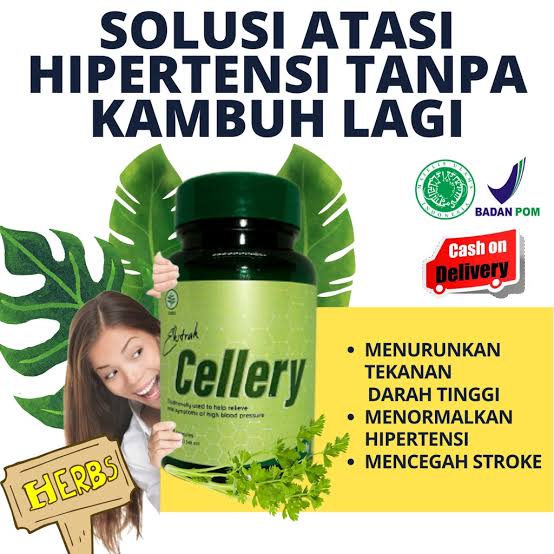 CELLERY Obat Darah Tinggi CELLERY Herbal CELLERY Obat Hipertensi - Obat Darah Tinggi Hipertensi Herb