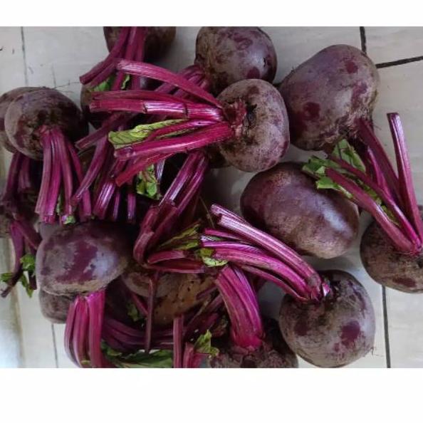

[KODE 77] Buah bit/beet root buah herbal/ fresh fruit 1 kg MURAh Ready Stok