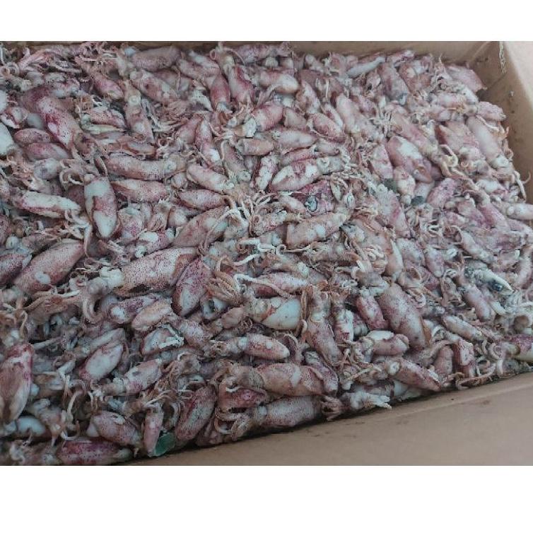 

(PROMO 7JB79) IKAN ASIN CUMI BEBY - 1kg FRESH ☆
