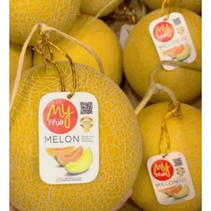 

MELON EMERALD MY FRUIT SUPER FRESH