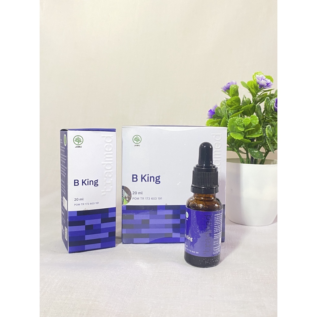 READY STOK B King Nutrisi Untuk Otak Anak AutiS-Hiperaktif- Anak Telat Bicara Speech Delay - Anak AB