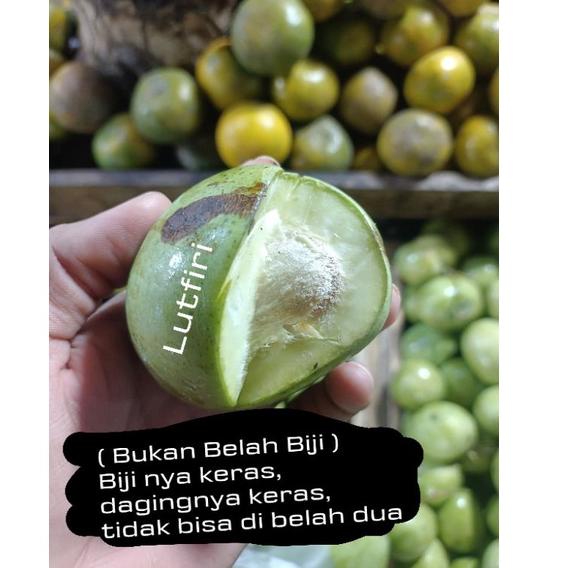 

1.1 Mangga Telor atau Telur Muda Mentah 1 kg belah biji asem segar fresh rujak manisan asinan .,.,.,..,