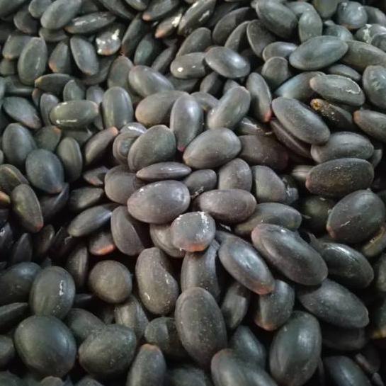 

12.12 FLASH SALE Biji Kedaung Kering 1kg - Biji Kedawung Kering !!