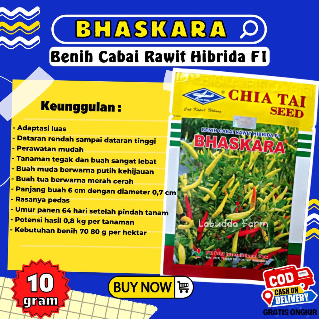 Bibit Sayuran Cabai / Cabai Rawit Bhaskara F1 Hibrida Cap Kapal Terbang - Chia Tai Seed - Bisi